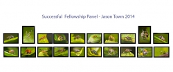 Jason-Town-FIPF-Cork-Camera-Group Jason-Town-FIPF-Cork-Camera-Group